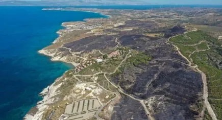 Çeşme'de yanan alanlar havadan görüntülendi galerisinin resmi