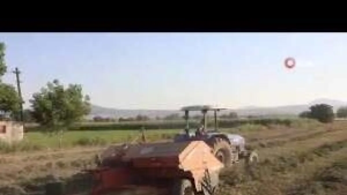 Büyükşehirden üreticiye ücretsiz hayvan yemi