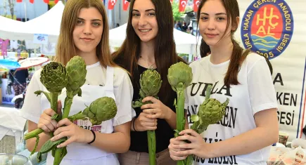 Enginarın en renkli hali: Urla Enginar Festivali galerisinin resmi