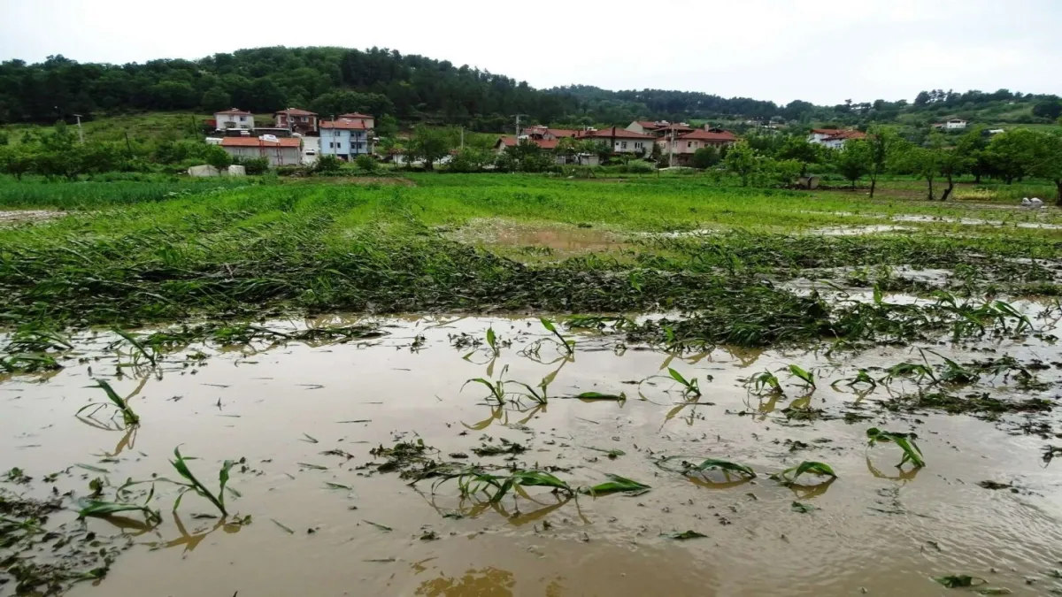 Sağanak yağış sonrası tarım arazileri sular altında kaldı