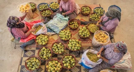 İzmir'den dünyaya cennet hurması galerisinin resmi