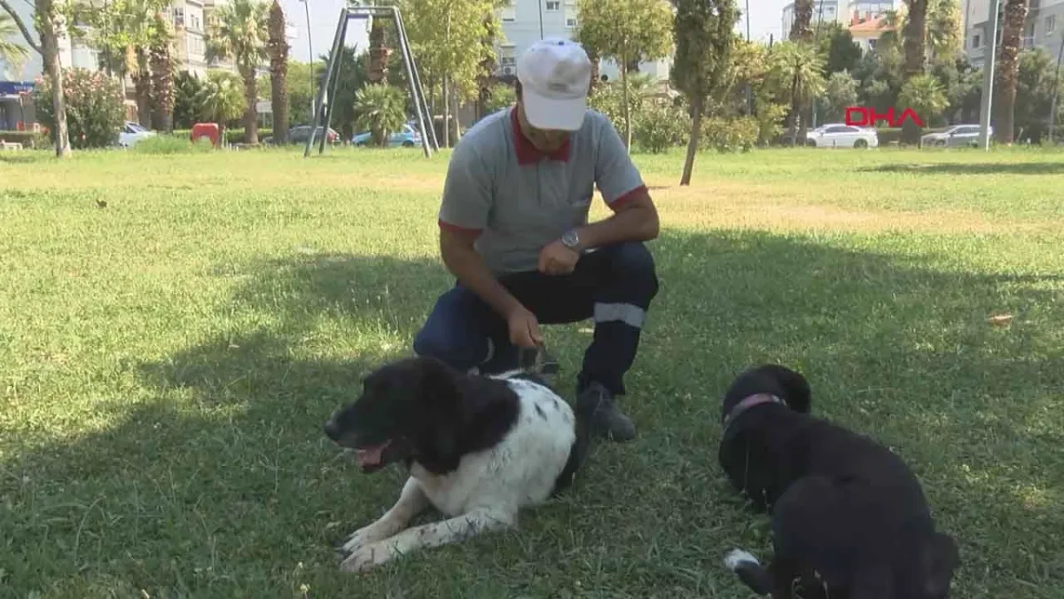 İzmir'de temizlik görevlisi ile sokak köpeğinin 11 yıllık dostluğu görenlerin içini ısıtıyor