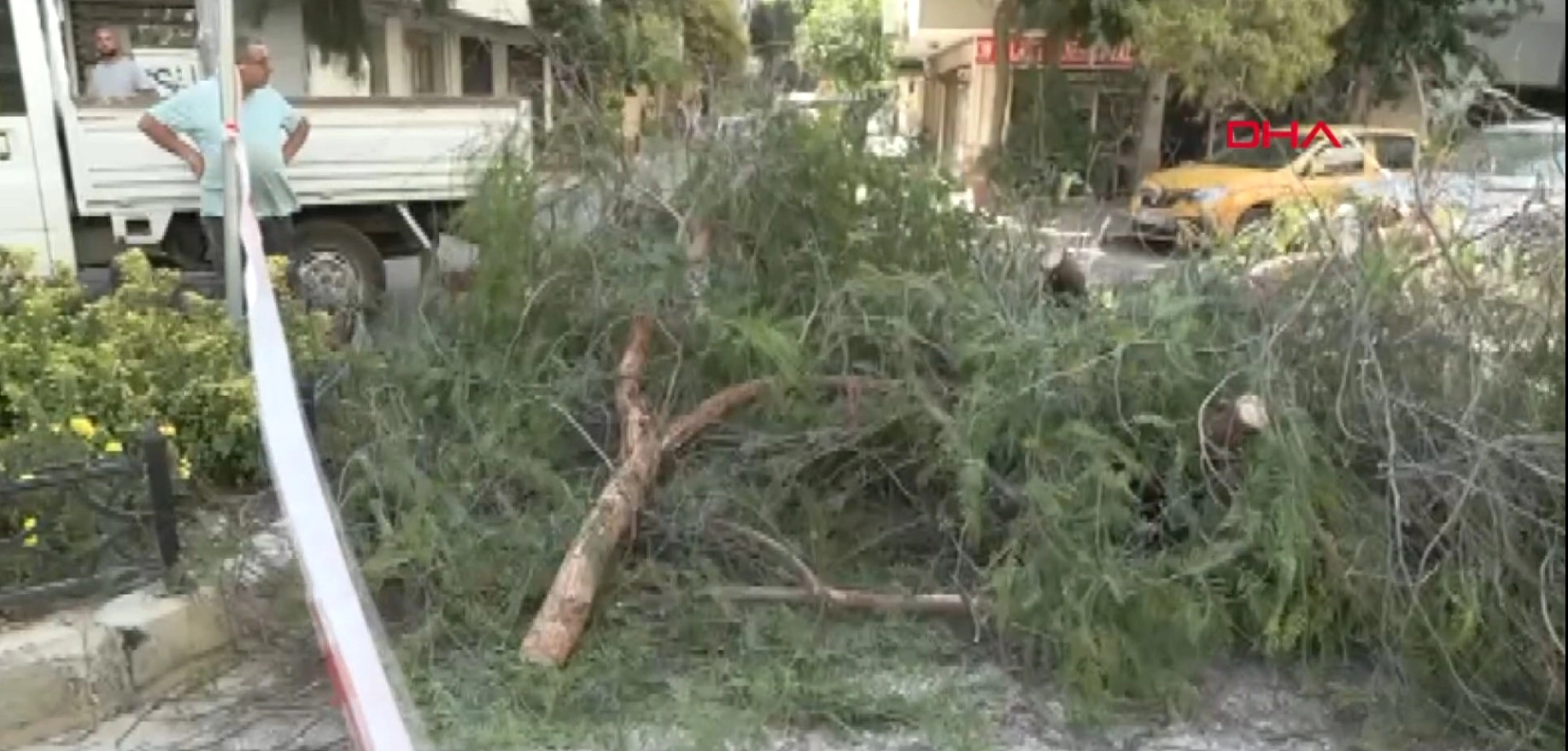 Konak’ta park halindeki otomobilin üzerine ağaç devrildi