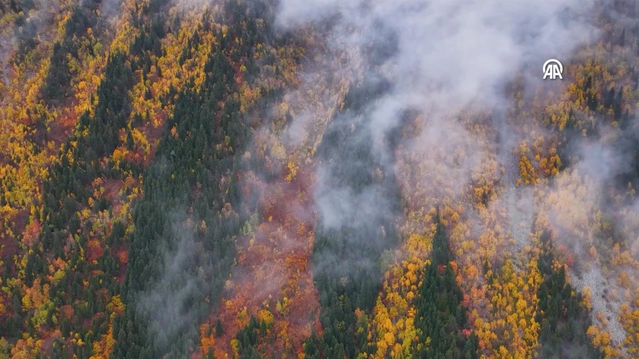 Artvin’in saklı cenneti Şavşat, sonbaharda renk cümbüşüyle büyülüyor