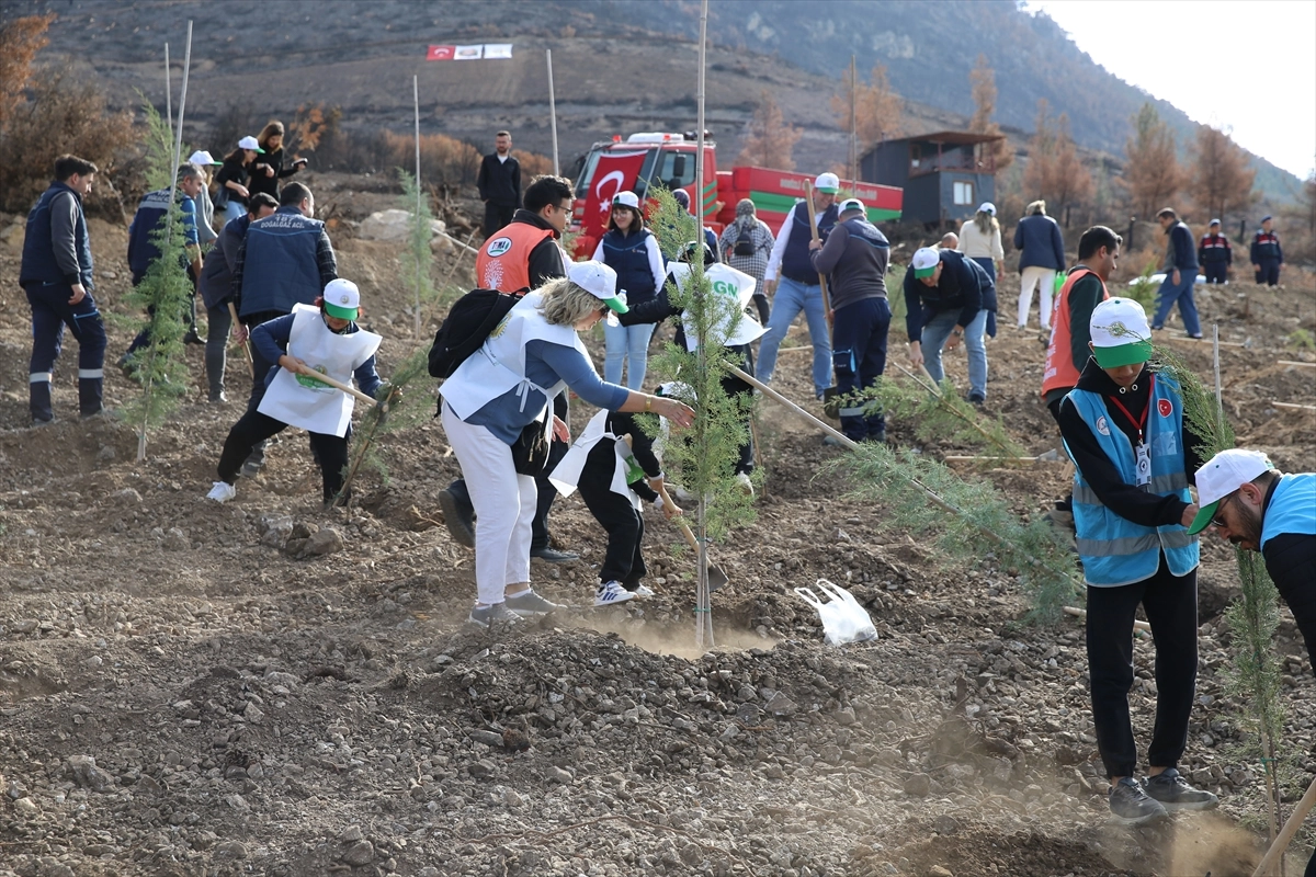 İzmir ve Çevre İllerinde Binlerce Fidan Toprakla Buluştu