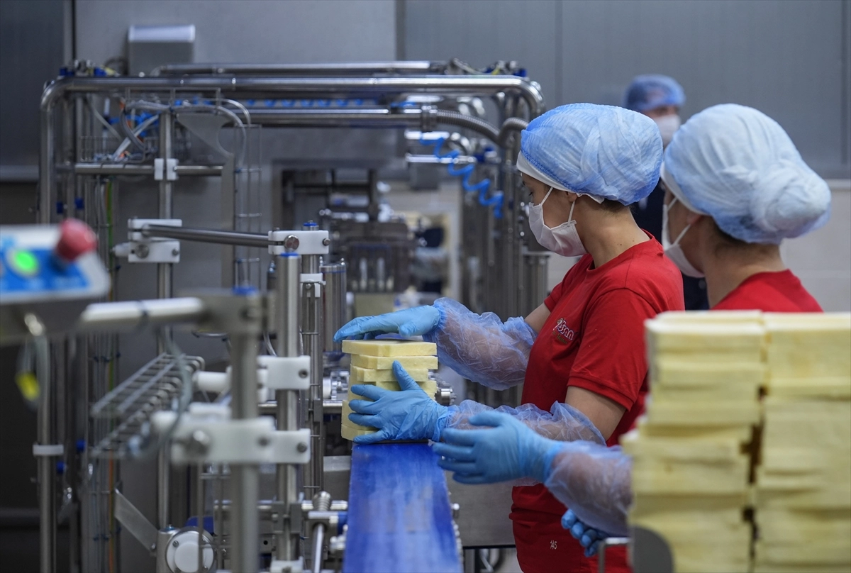 TKDK Hibeleri İzmir Süt İşleme Tesislerini Güçlendiriyor