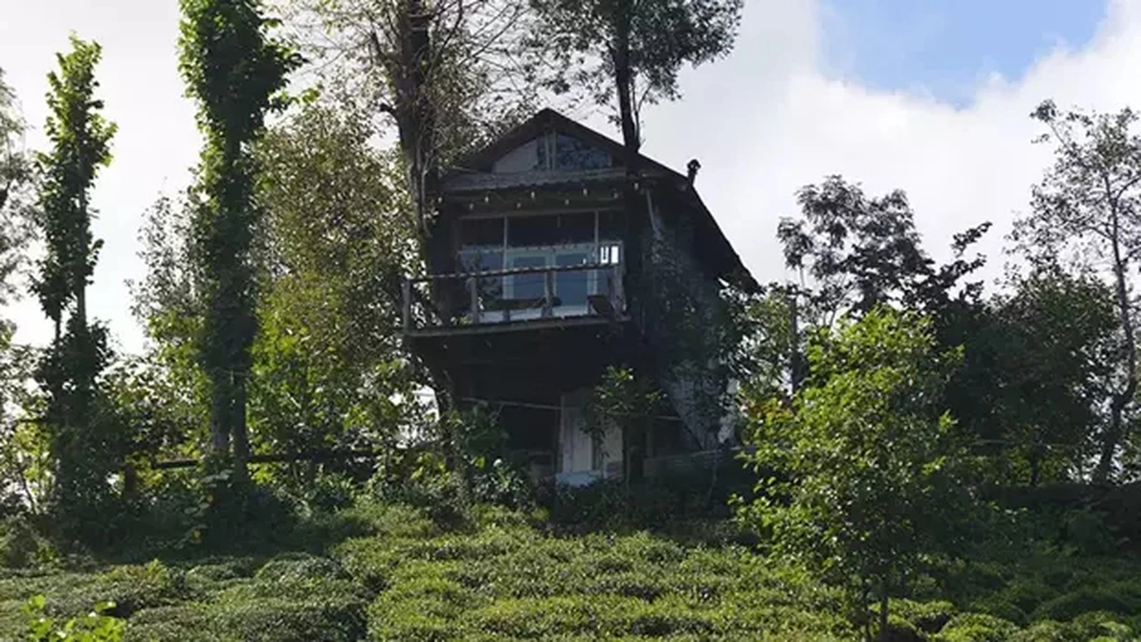 Rize’de Kardeşlerin Geri Dönüştürülmüş Malzemelerle İnşa Ettiği Ağaç Ev İlgi Çekiyor