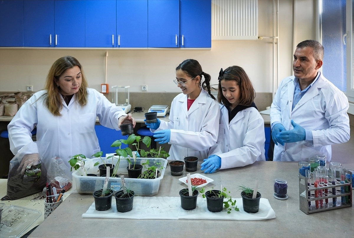 İzmirli ortaokul öğrencilerinden ormanlar için örnek proje