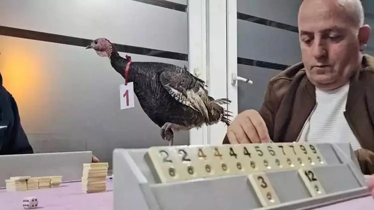 Zonguldak’ta “Baba Hindi” ödüllü okey turnuvası 48. kez yapıldı