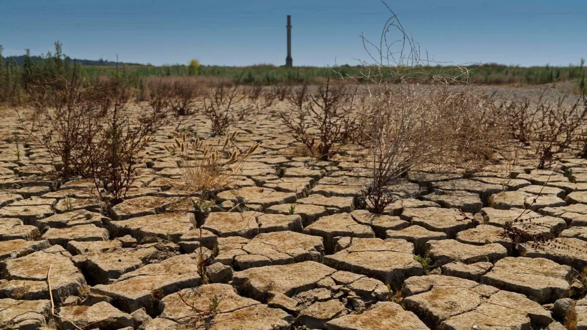 Gri su, İzmir'e iyi gelir 