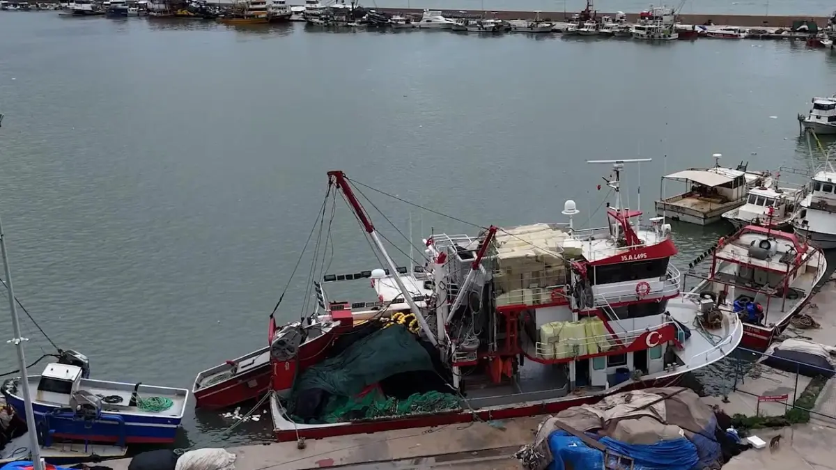 Egeli balıkçılar sezonun kalanından umutlu