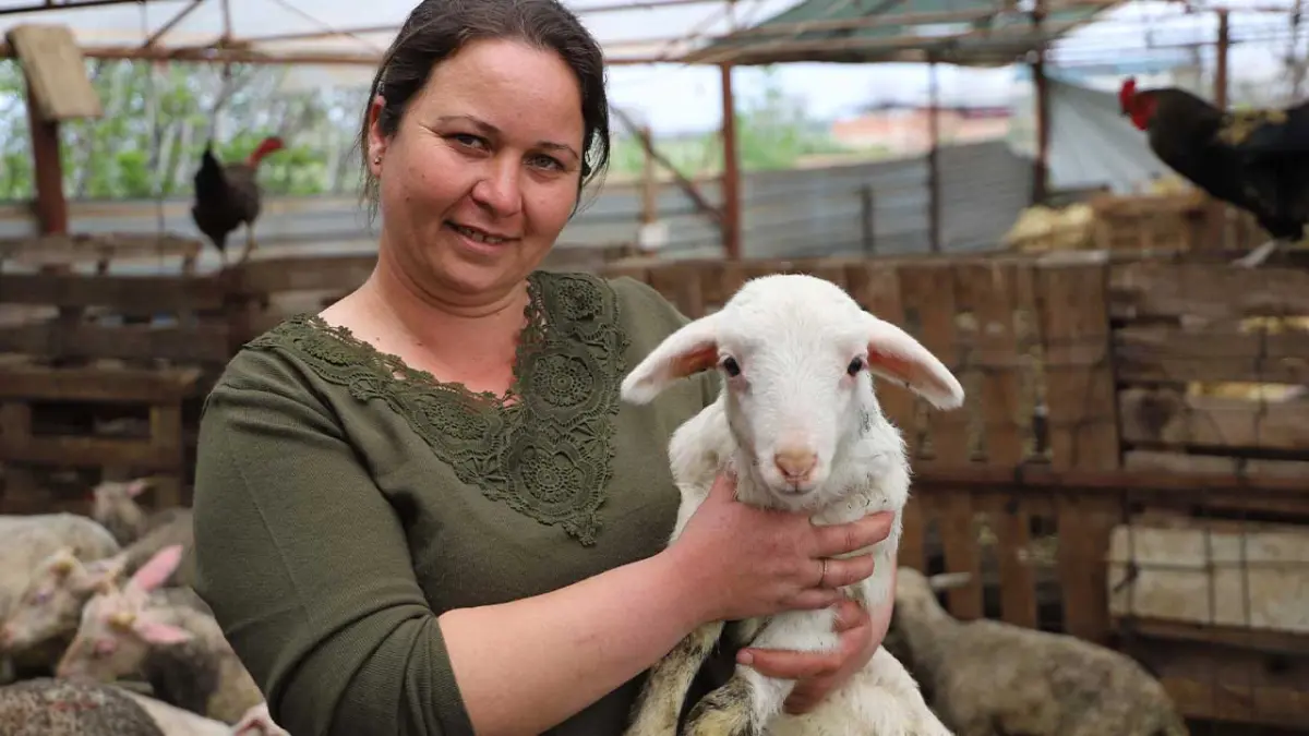 Babasının hediye ettiği kuzuyla çiftlik kurdu