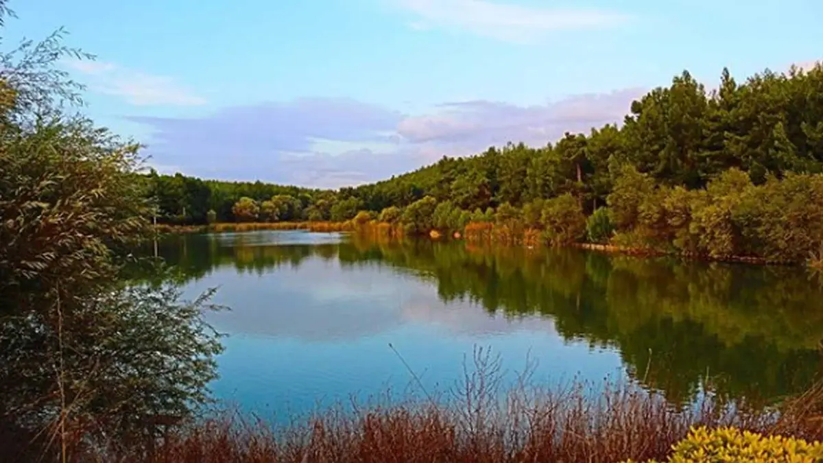 Orman Parkı işletme hakkı kiraya verilecek