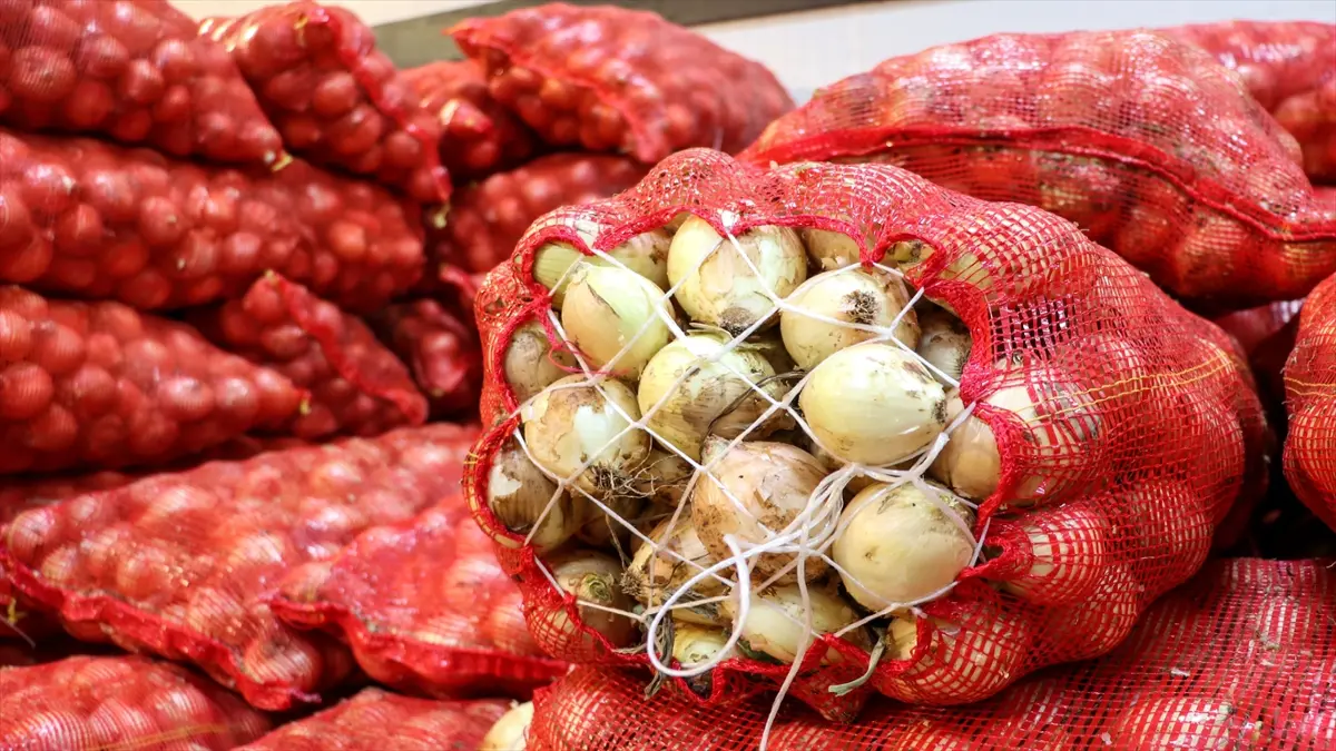 Kuru soğan ihracatı ilk çeyrekte yaklaşık 15 kat arttı