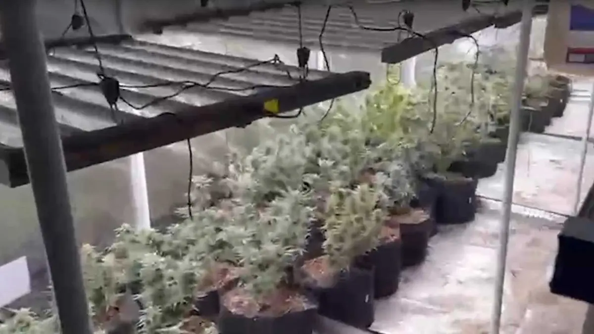 Uyuşturucu imal edilen eve operasyon