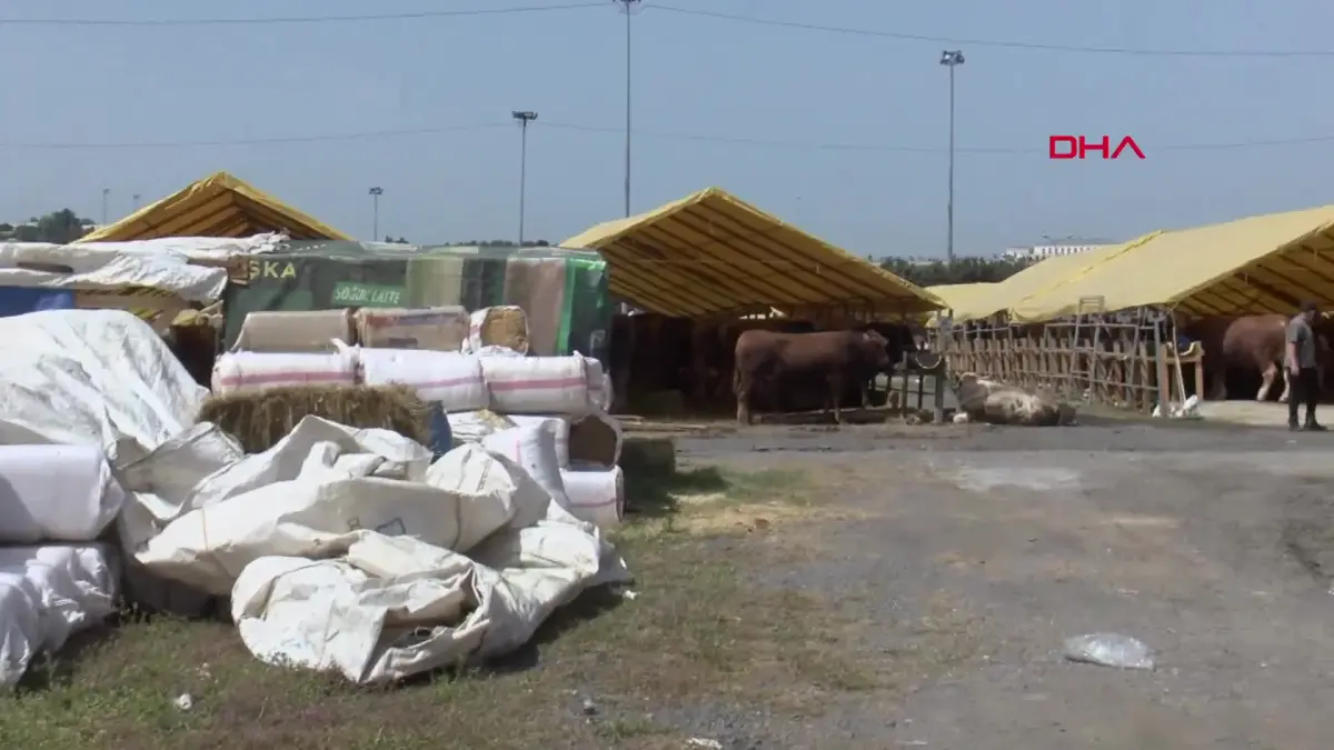 Bahçelievler kurban pazarında sıkı pazarlık