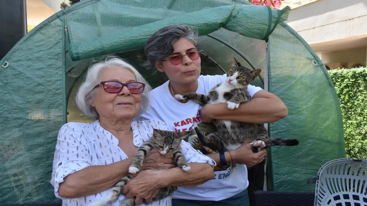 İzmir'de erkek kedi doğum yaptı