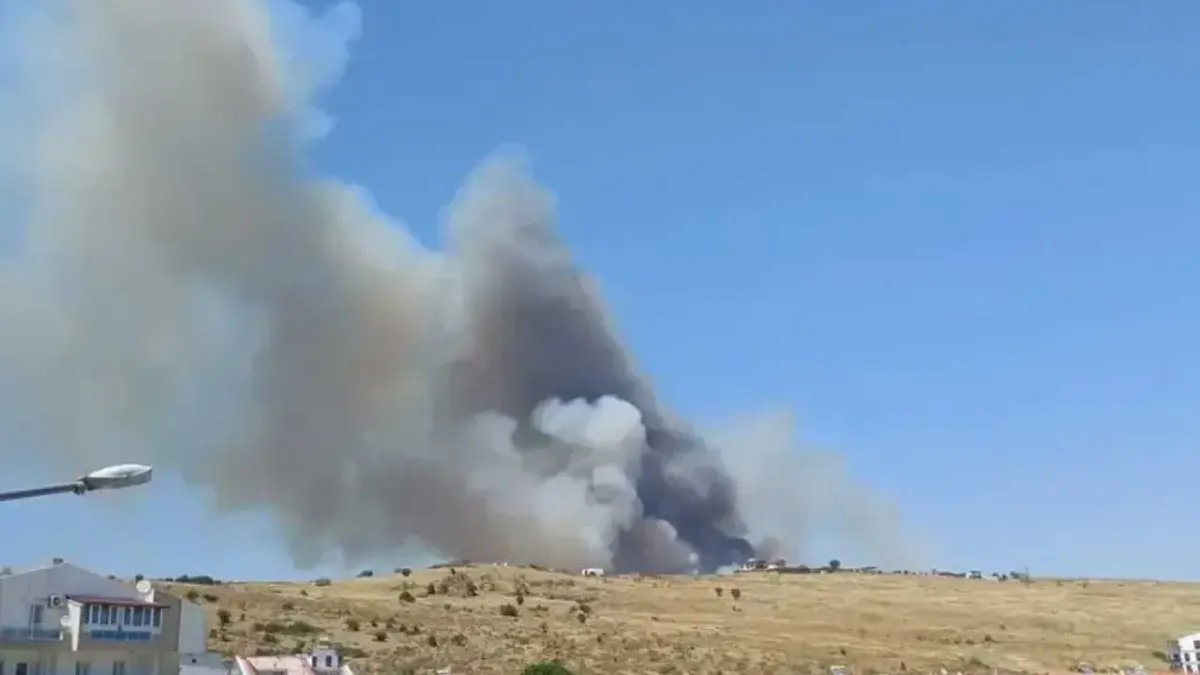Dikili'de yangın