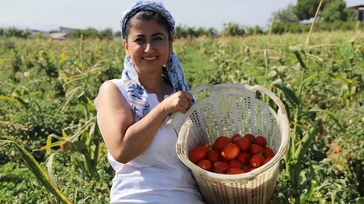 Eczanede başlayan mesaisi tarlada bitiyor