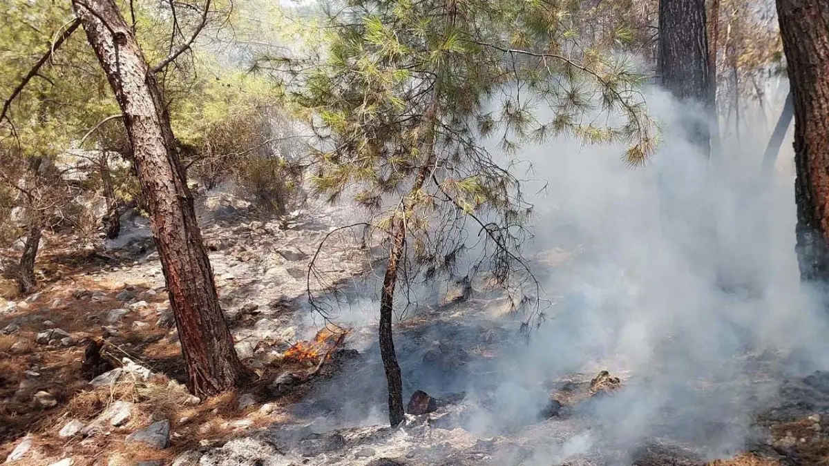 Antalya'da orman yangını