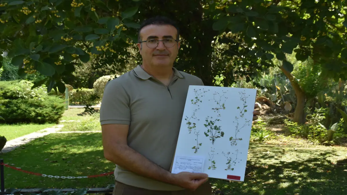 Yeni keşfedilen 'Latmos Taşkıranı' tehlike altında